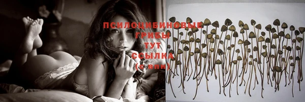 амф Няндома