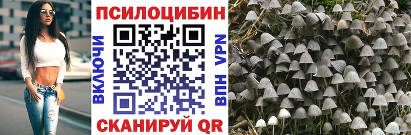 Псилоцибиновые грибы Psilocybine cubensis  площадка какой сайт  Челябинск 