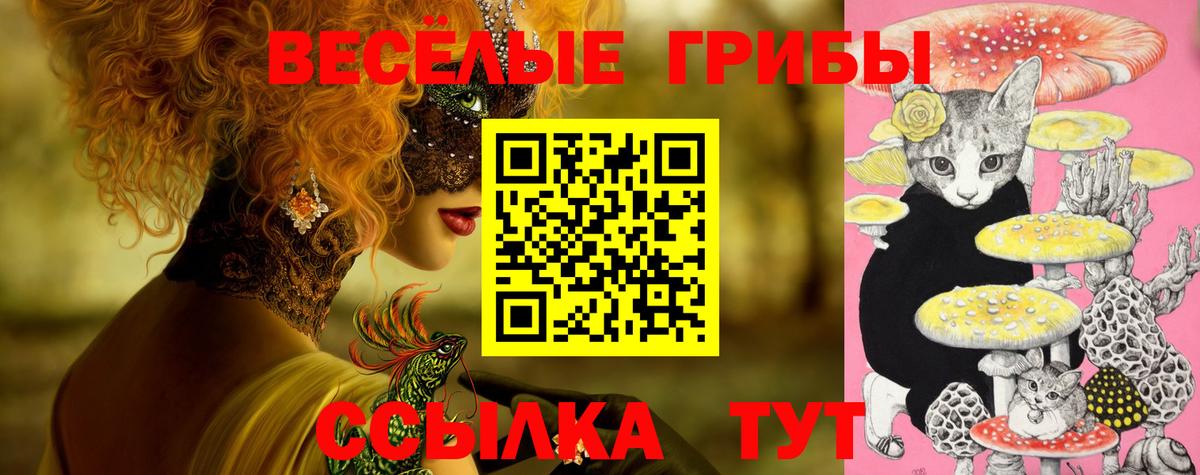Галлюциногенные грибы Magic Shrooms Челябинск