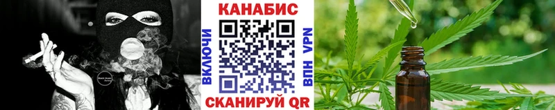 Шишки марихуана план дарнет шоп Челябинск